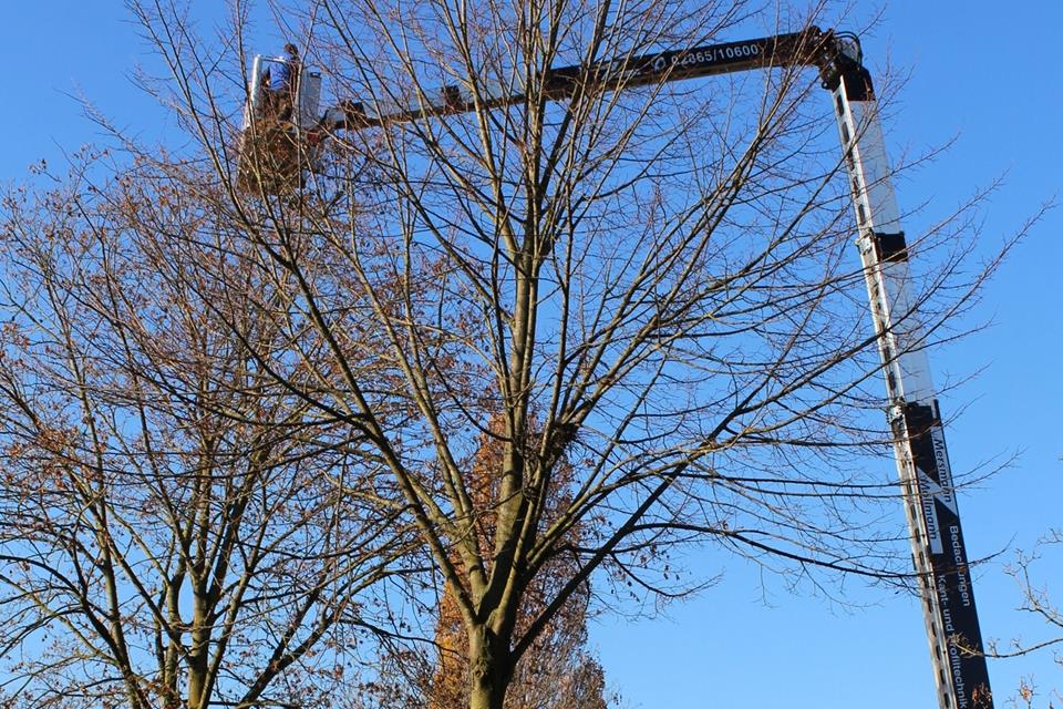 Mit einem Hubsteiger wurde die Beleuchtung angebracht.