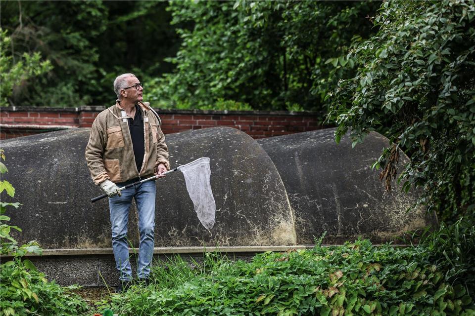 Mit einem Kescher versucht Atzorn, die Königin im Flug zu fangen.Oliver Berg/dpa