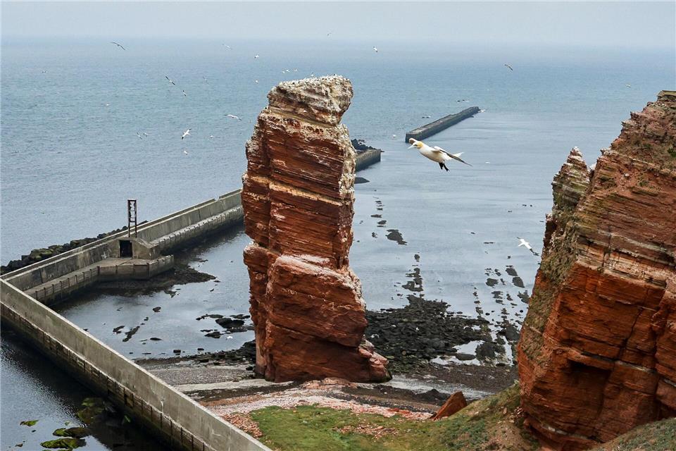 Mit einer Genossenschaft wollen die Helgoländer ihren Bäckerei retten (Archivbild).Frank Molter/dpa