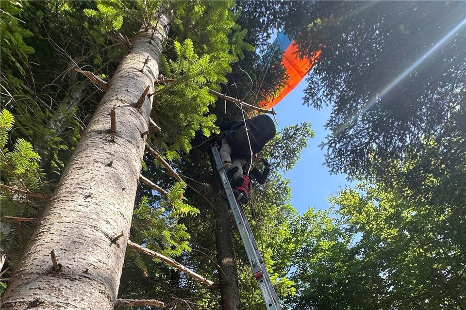Mit einer Leiter rettete die Feuerwehr den Gleitschirmflieger aus dem meterhohen Baum.Feuerwehr Baden-Baden/dpa