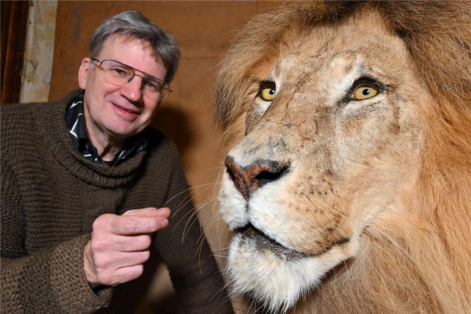 Mit einer Löwin fing alles an und mit einem Löwen endet auch die berufliche Laufbahn von Peter Mildner.Martin Schutt/dpa