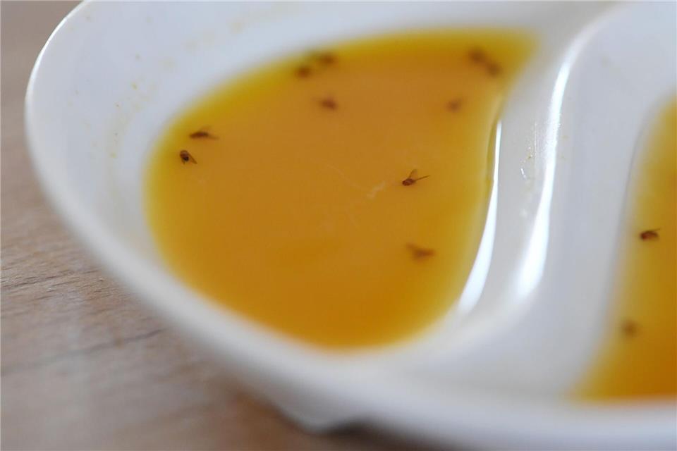 Nervige Küchengäste: So stellen Sie Fruchtfliegen eine Falle  Mit einer Mixtur aus Apfelsaft, Rotwein oder Balsamico schnappt die Fruchtfliegenfalle zu.picture alliance/dpa/dpa-tmn