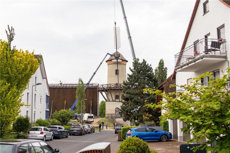 Mit ihren neuen Flügeln wird die Windmühle künftig wieder das Stadtbild prägen. Christian Lademann/dpa