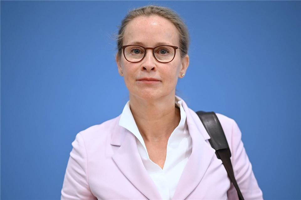 Mit ihrer Arbeit setzt sie laut SPD Hessen „wichtige Impulse für das Verständnis des Grundgesetzes“: Die Juristin Brosius-Gersdorf. (Archivbild)Britta Pedersen/dpa