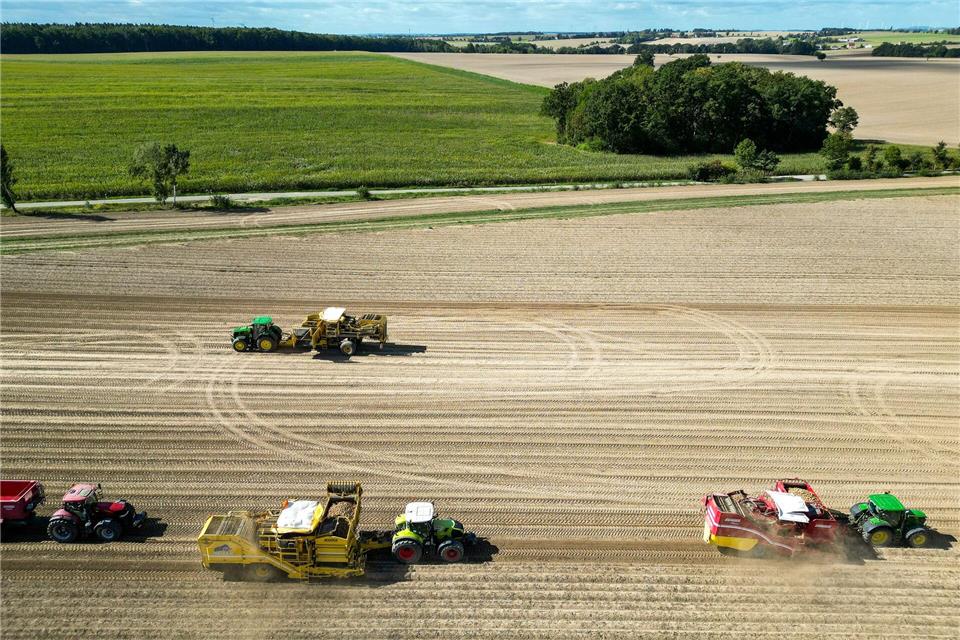 Mit mehreren Kartoffelrodern werden bei Zwickau die Kartoffeln aus dem Boden geholt.Jan Woitas/dpa