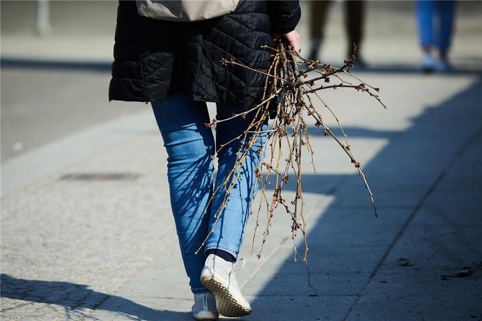 Mit viel Sonne und täglich immer steigenden Temperaturen hält der Frühling in Berlin und Brandenburg Einzug. (Symbolbild)Jörg Carstensen/dpa