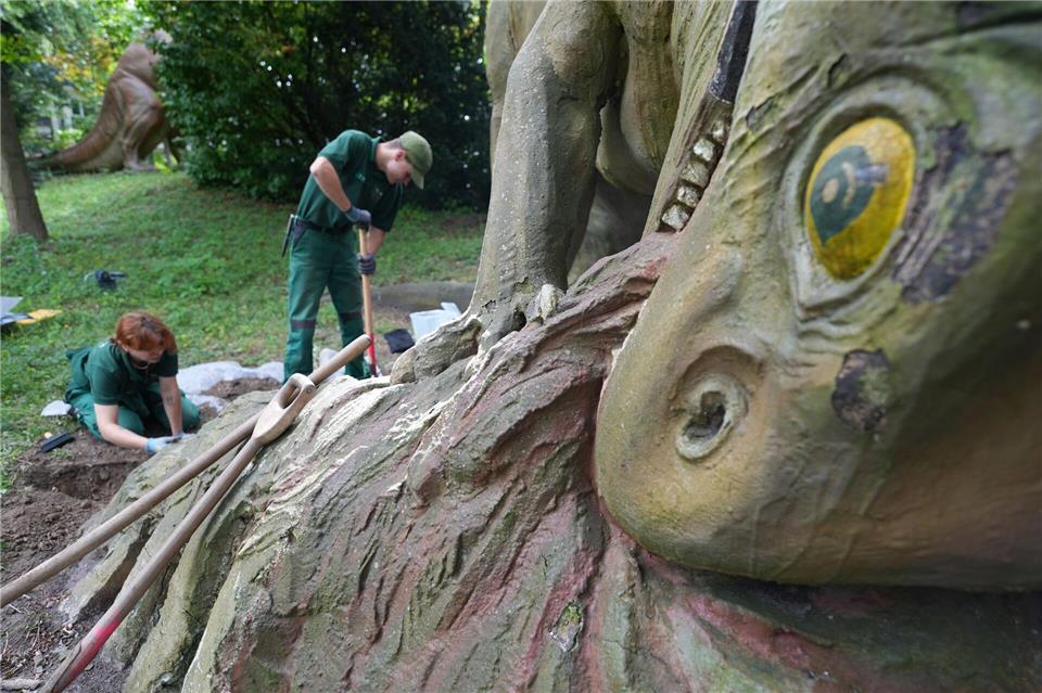 Mitarbeiter des Tierparks legen das Fundament frei.Marcus Brandt/dpa