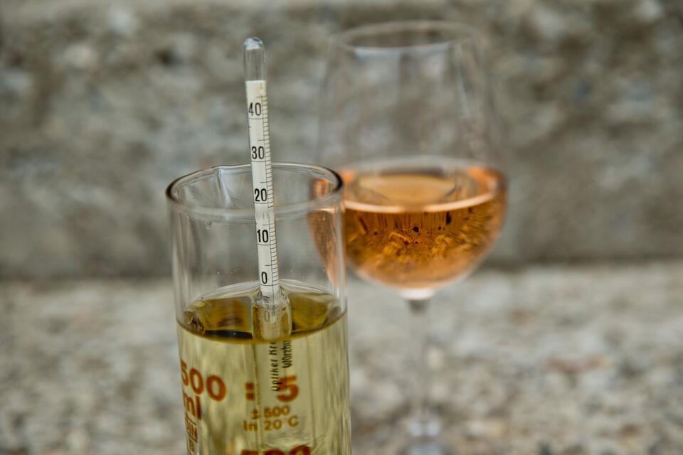 Mittels Alkoholmeter, der in einem Zylinder mit Wein schwimmt, wird der Alkoholwert abgelesen. In diesem Glas zeigt es einen Wert von null Volumenprozent an. Daniel Karmann/dpa/dpa-tmn