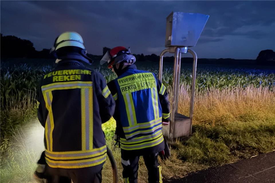 Mitten in der Nacht hatten Unbekannte das Gras unter dem Starenkasten entzündet.