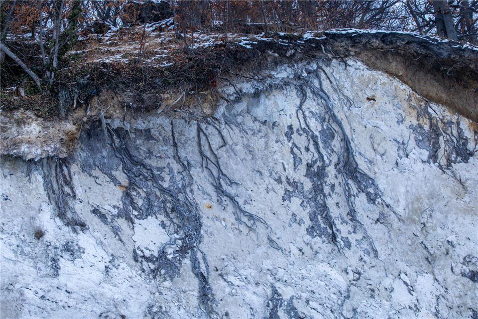 Mitunter ist der Steilhang unter den Baumwurzeln regelrecht ausgespült. Jens Büttner/dpa