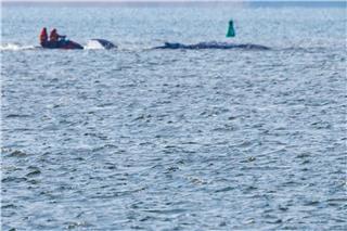 Mobilsierungsversuche gab es ab Mittag.Jens Büttner/dpa