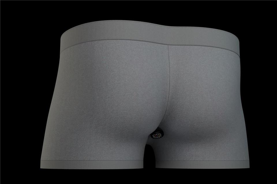 Modell der smarten UnterhoseBrantley Hall/University of Maryland/dpa