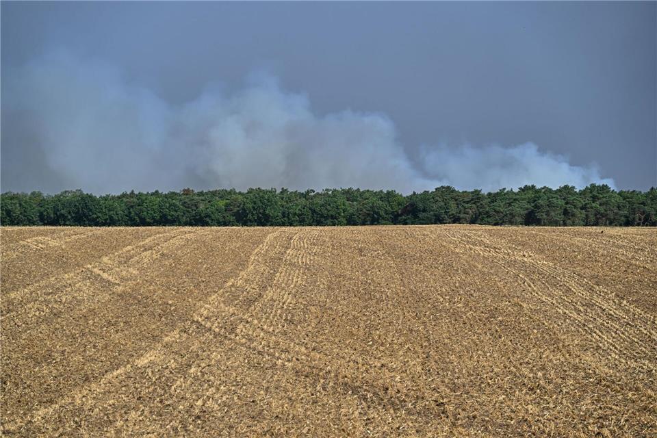 Möglicherweise ist der Brand im Wald von Fontainebleau absichtlich gelegt worden.Emma Da Silva/AP/dpa