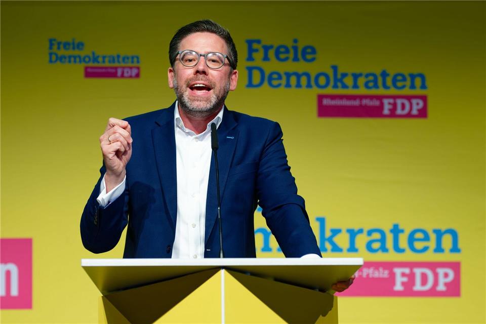 Möglicherweise seien Äußerungen der FDP zu abstrakt gewesen, zu weit von den Menschen weg, sagt Philipp Fernis. (Archivbild)Uwe Anspach/dpa