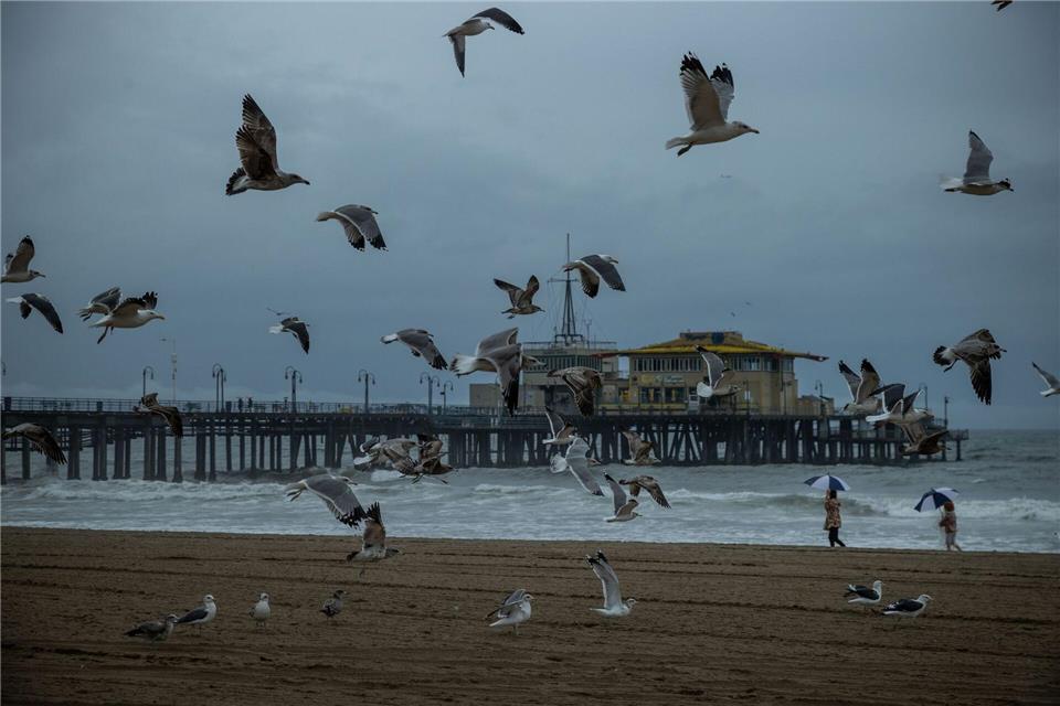 Möwen fliegen neben dem Santa Monica Pier nach heftigen Regenfällen in Kalifornien.Ethan Swope/AP/dpa