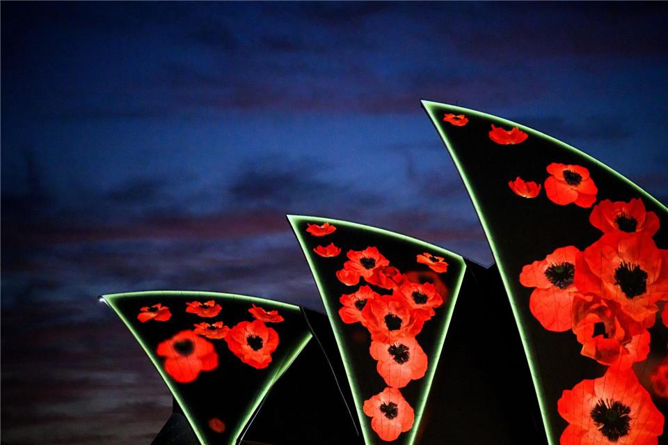 Mohnblumen werden auf die Segel des Opernhauses von Sydney projiziert während der Morgenandacht zum Remembrance Day 2025.Bianca De Marchi/AAP/dpa