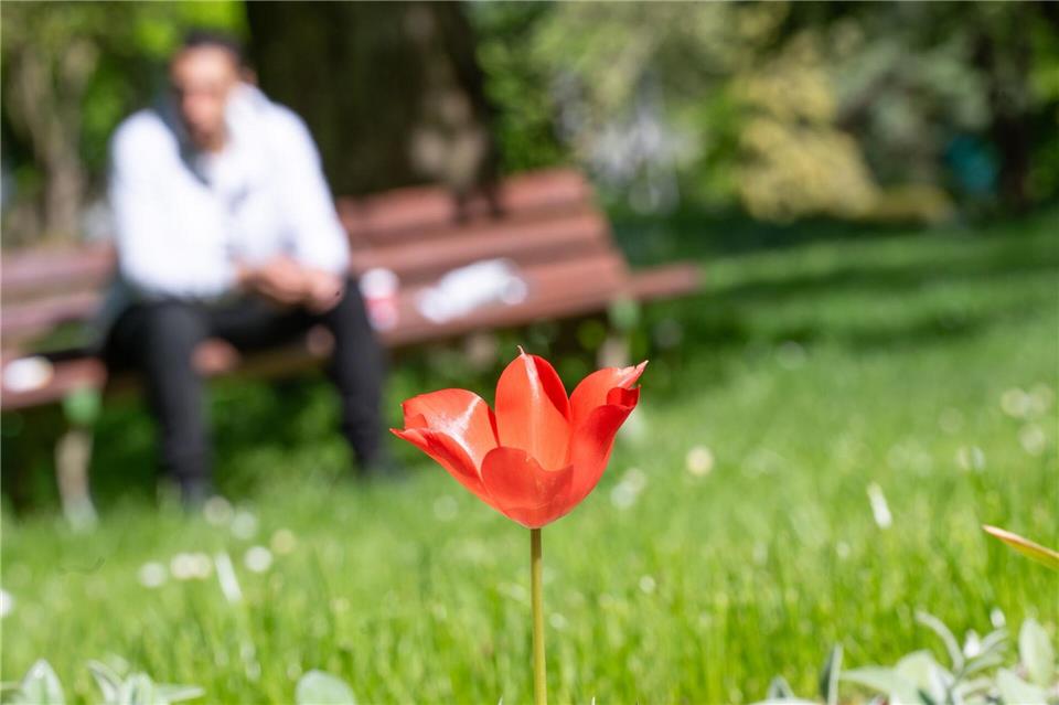 Montag soll es im Rheinland bis zu 21 Grad warm werden.Benjamin Westhoff/dpa