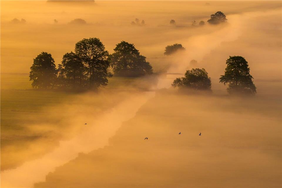 Morgennebel und SonnenaufgangSina Schuldt/dpa