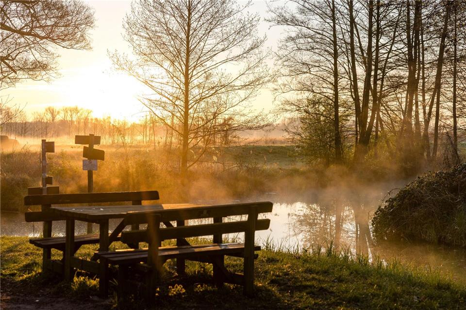 Morgens im SpreewaldFrank Hammerschmidt/dpa
