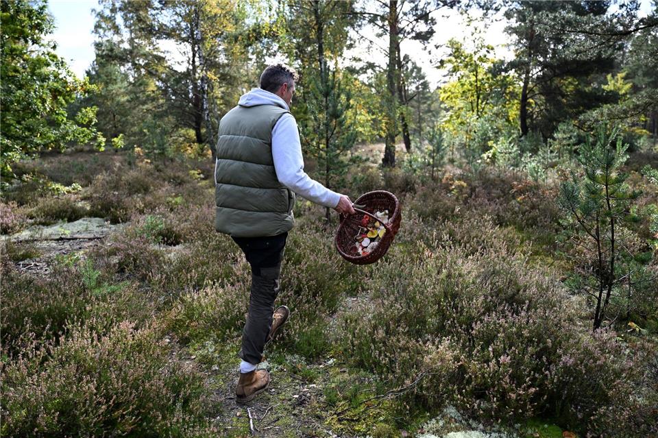 Trendhobby Pilzesammeln: Der Wald als „bullshitfreie Zone“  Moritz Schmid unterwegs in seinem Heimatwald.Lilli Förter/dpa