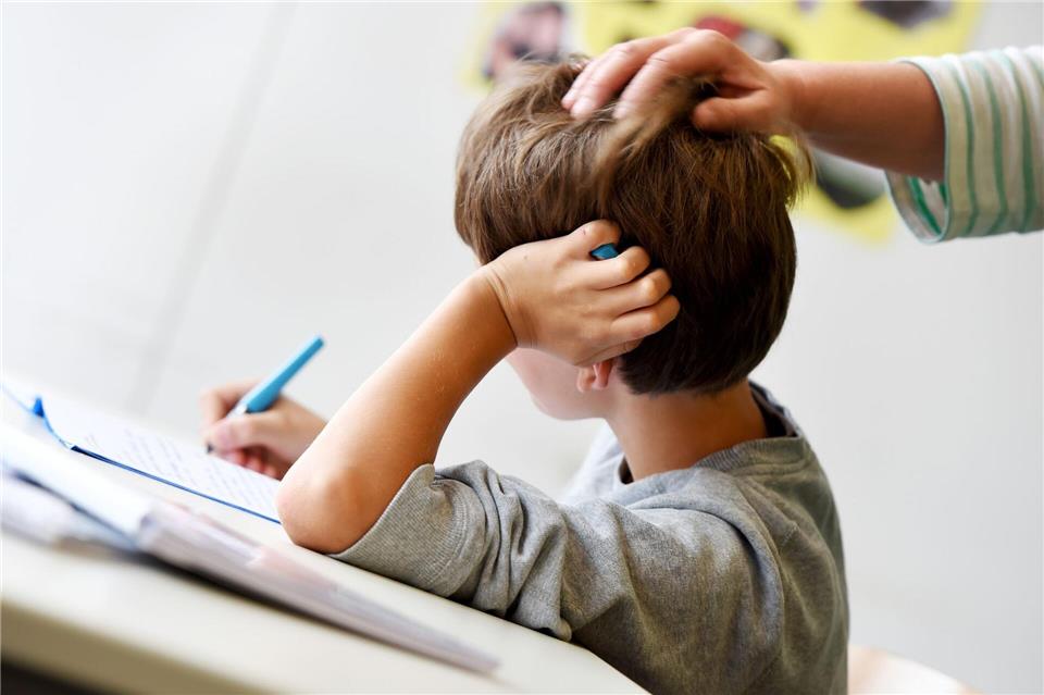 Motivation ohne Geld: Eltern sollten Kinder dabei unterstützen, den Wert und die Bedeutung von Lernen zu verstehen und so langfristige Motivation fördern.Felix Kästle/dpa/dpa-tmn