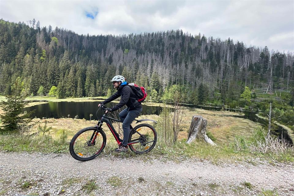 Mountainbiking in Baiersbronn: Die Gegend rund um den Gourmet-Ort ist auch für Outdoor-Fans reizvoll. Bernhard Krieger/dpa-tmn
