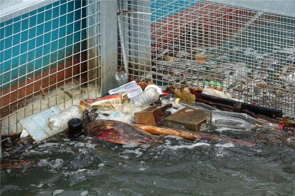 Müll hat sich in den beiden Körben der Müllfalle „RheinKrake“ verfangen. (Handout)Leandra Hamann/Nature/dpa