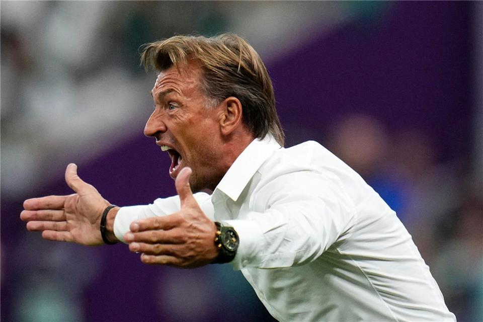 Muss aus der tunesischen Mannschaft wieder ein Team machen: Trainer Hervé Renard. (Archivbild)Manu Fernandez/AP/dpa