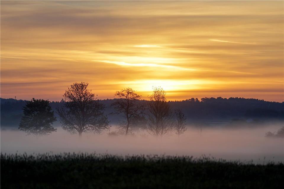 Mystischer Start in den Tag: Bodennebel und Sonnenaufgang in UnlingenThomas Warnack/dpa