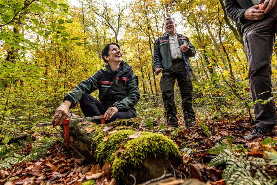 NRW-Landwirtschaftsministerin Silke Gorißen (CDU) Dieter Menne/dpa