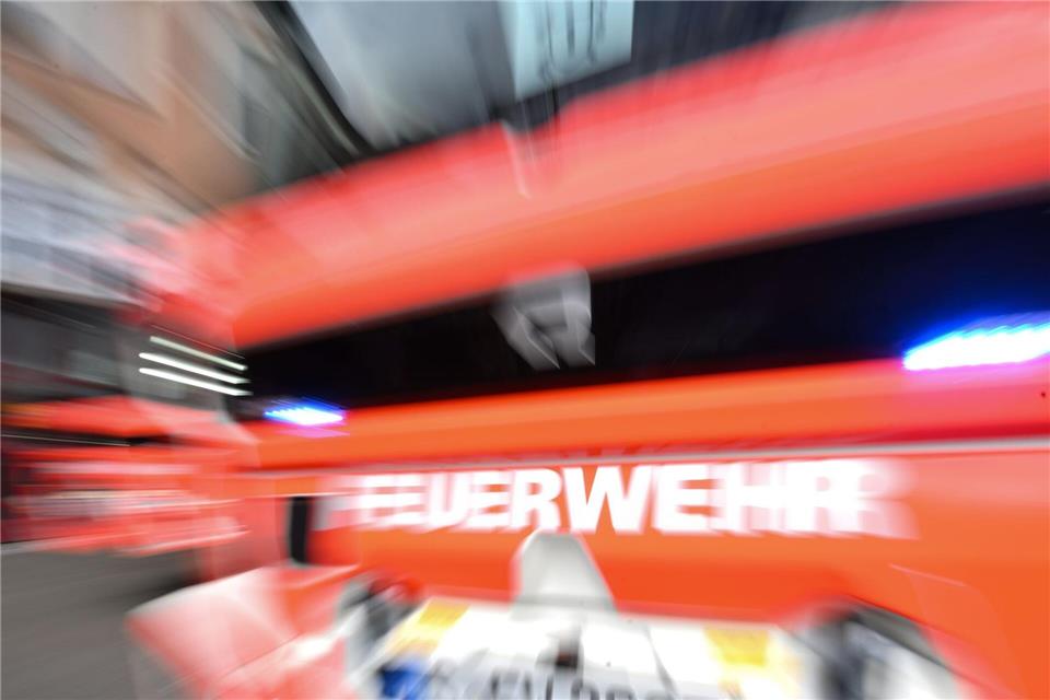 Nach Angaben der Feuerwehr erwies sich das Tier als ungewöhnlich zutraulich und näherte sich den Helfern am Beckenrand. (Symbolbild)Bernd Weißbrod/dpa