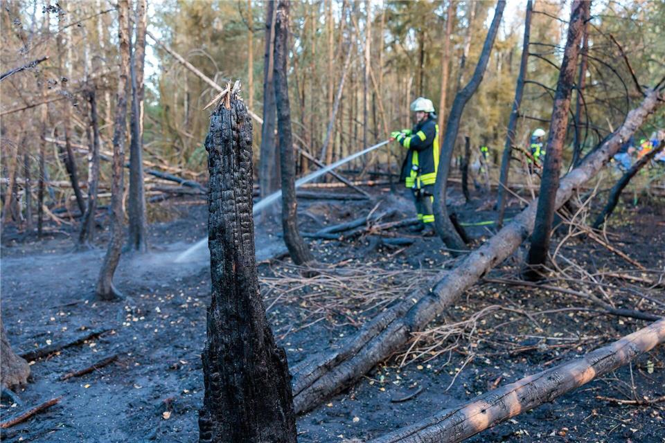 Nach Angaben der Feuerwehr standen rund 25.000 Quadratmeter Fichtenwald in Flammen.Jörg Halisch/dpa