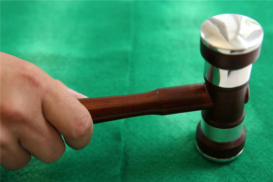 Nach Angaben der Norddeutschen Grundstücksauktionen AG werden am Mittwoch 22 Immobilien versteigert. (Symbolbild)Bernd Wüstneck/dpa-Zentralbild/dpa