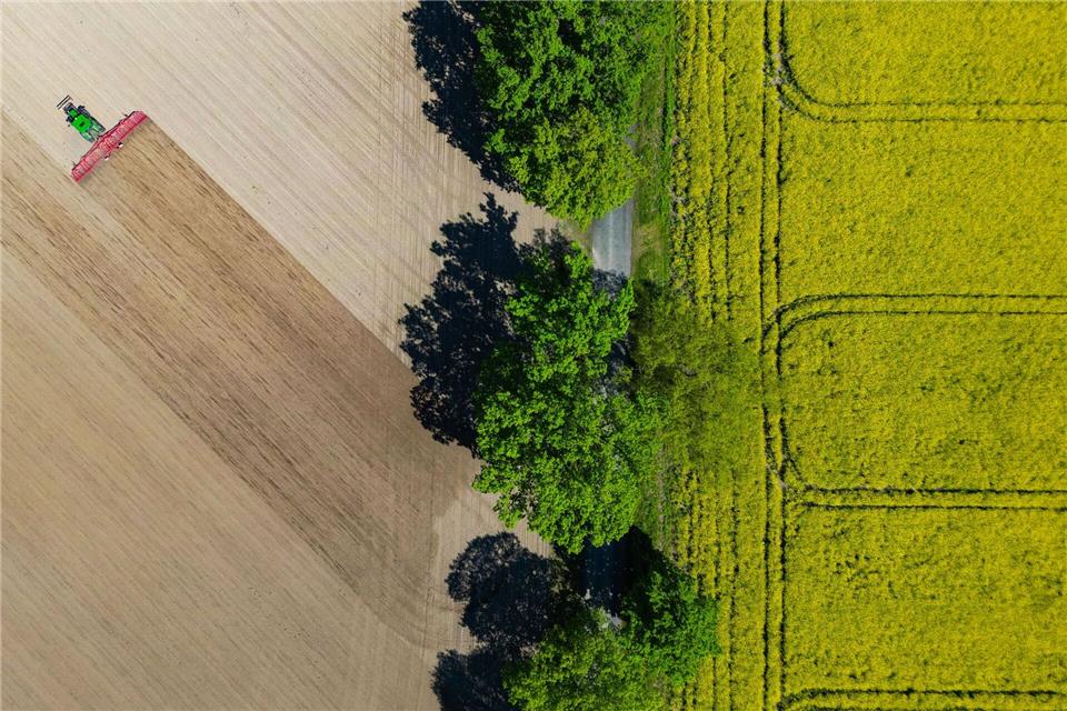 Nach Angaben des Agrarmarketing-Verbandes Pro Agro werden in Brandenburg 45 Prozent der Bodenfläche landwirtschaftlich genutzt. (Symbolbild)Patrick Pleul/dpa/ZB