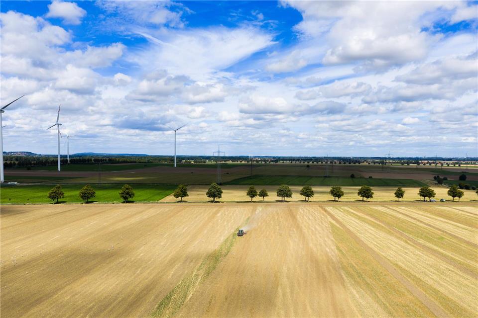 Niedersachsen will Bodenmarkt gerechter machen Nach Angaben des Agrarministeriums liegen die Kauf- und Pachtpreise für landwirtschaftliche Flächen in Niedersachsen deutlich über dem Bundesdurchschnitt.Julian Stratenschulte/dpa