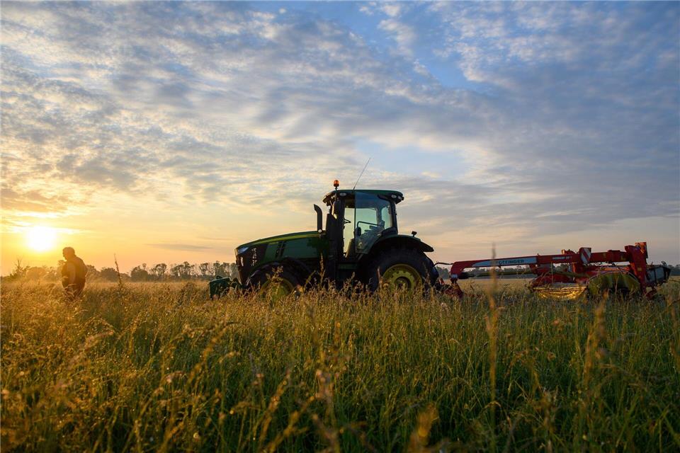 Nach Angaben des Landwirtschaftsministeriums hat sich die ökologisch bewirtschaftete Fläche von 2015 bis Ende 2024 auf knapp 90 000 Hektar mehr als verdoppelt. (Archivbild)Klaus-Dietmar Gabbert/dpa/dpa-tmn