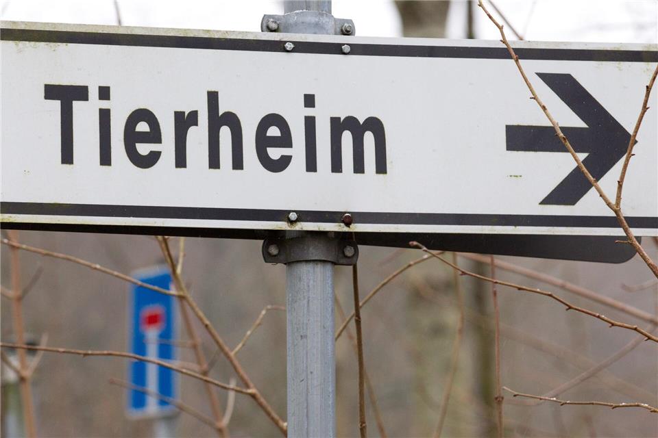 Nach Auffassung des Gerichts wurden die Hunde unter hochgradig tierschutzwidrigen Umständen gehalten. (Symbolbild)picture alliance / Friso Gentsch/dpa