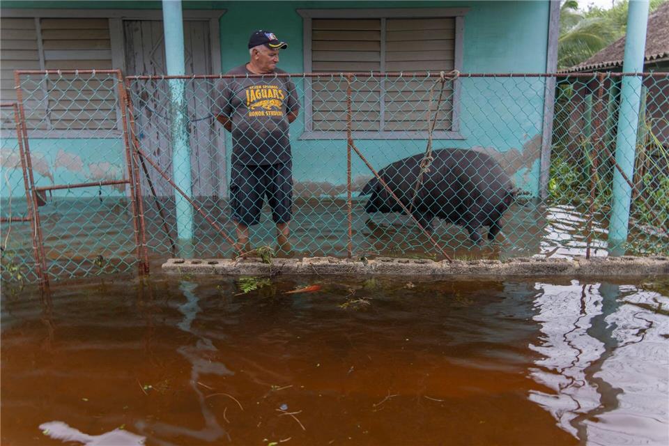 Bilder des Tages Nach Hurrikan „Helene“ auf Kuba: ein Mann steht mit seinem Schwein auf seiner überfluteten Terrasse.Ramon Espinosa/AP/dpa