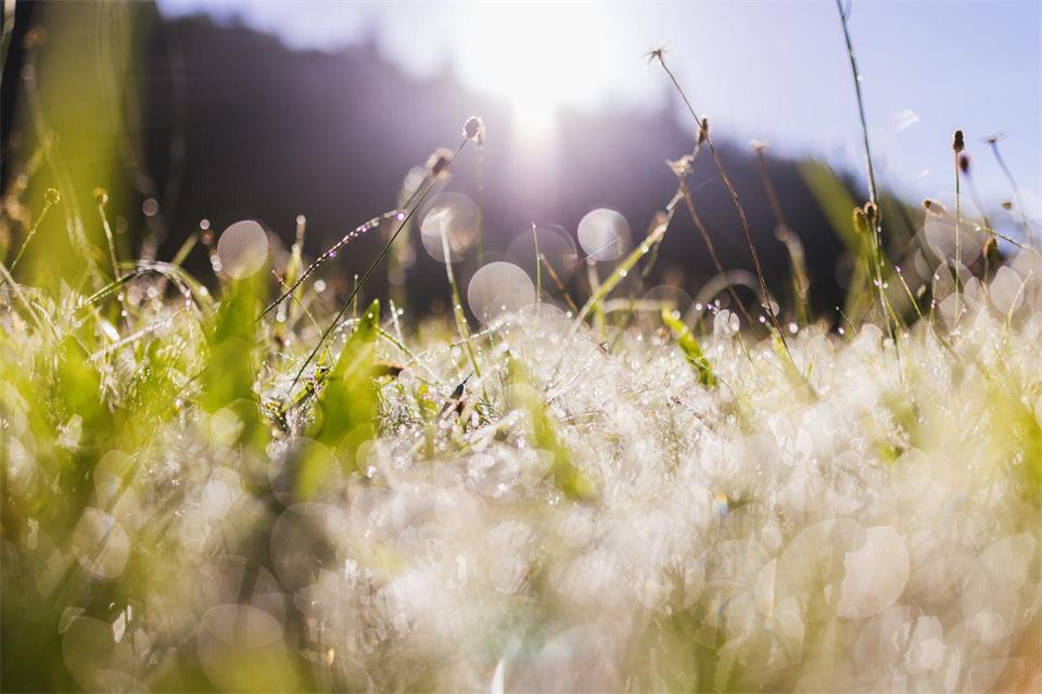 Nach Nebel am Morgen kommt die Sonne heraus. Philipp von Ditfurth/dpa
