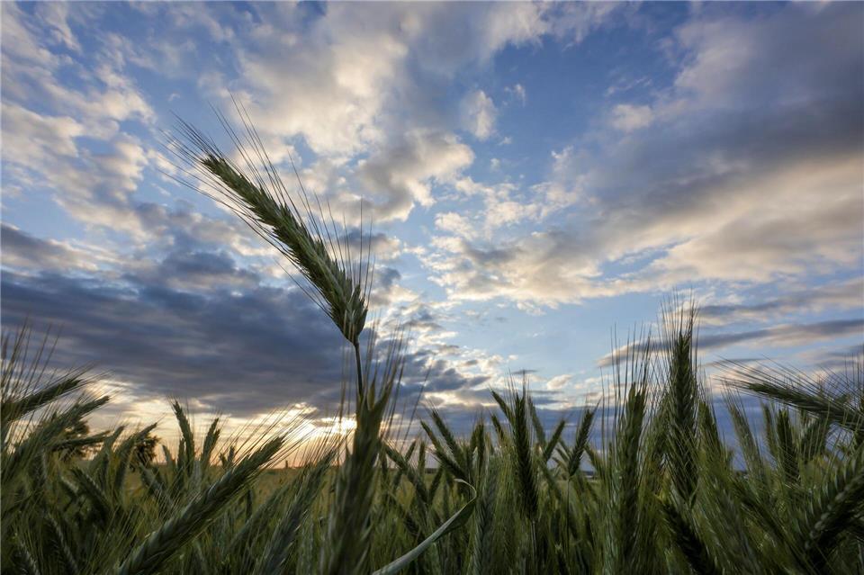 Nach Sonne am Montag drohen im Südwesten Starkregen, Gewitter und böige Winde.Thomas Warnack/dpa