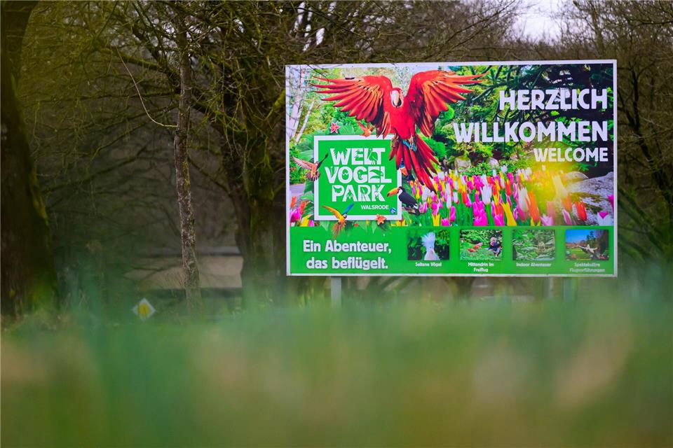 Nach dem Ausbruch der Geflügelpest bleibt der Vogelpark Walsrode vorübergehend geschlossen. (Archivbild) Philipp Schulze/dpa