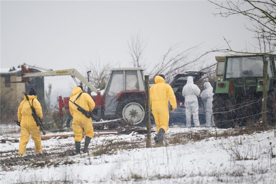 Nach dem Ausbruch der Maul- und Klauensuche an der Grenze von Berlin zu Brandenburg muss auch der Berliner Tierpark schließen. (Foto aktuell)Sebastian Christoph Gollnow/dpa