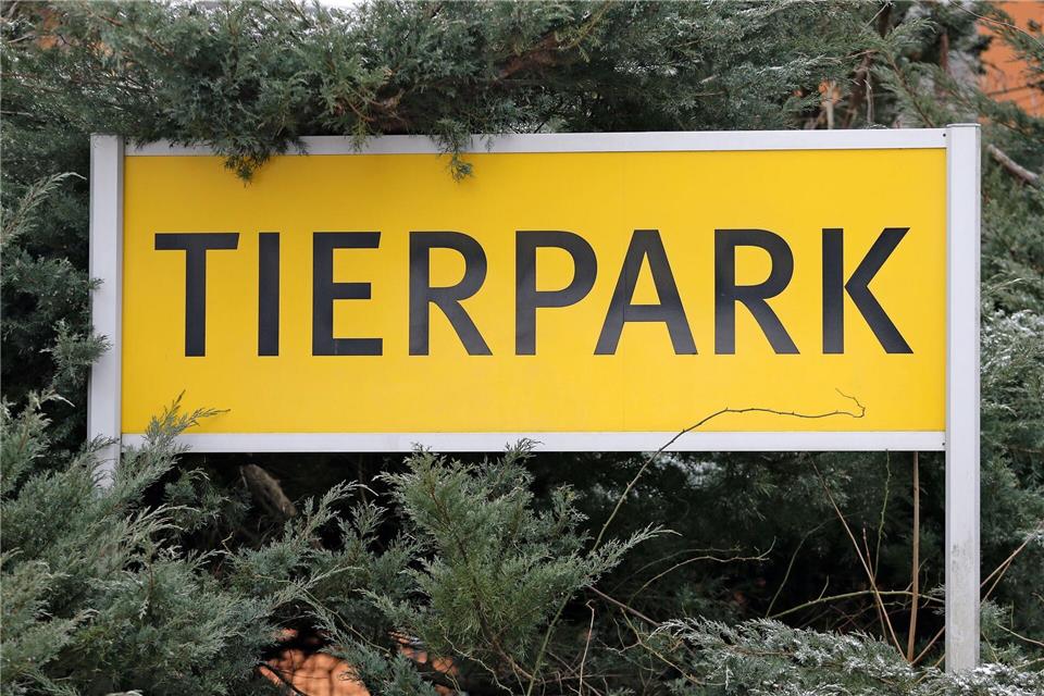 Nach dem Ausbruch der Vogelgrippe will der Tierpark Chemnitz am Freitag wieder für Besucher öffnen. Doch nicht alle Tiere werden dann zu sehen sein. (Archivbild)Jan Woitas/dpa