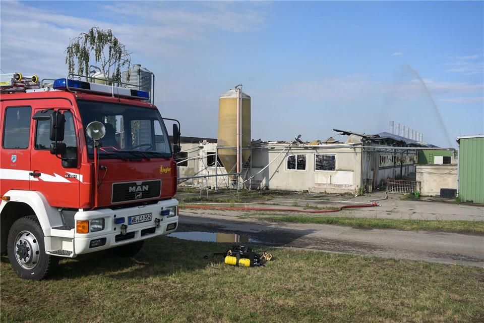 Nach dem Großbrand in Coswig erklären Brandschutzexperten, warum Stallbrände oft schwer zu bekämpfen sind. (Archivbild) Heiko Rebsch/dpa