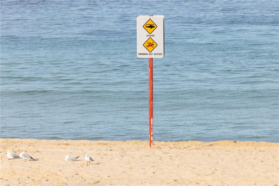 Nach dem Hai-Angriff wurde der betroffene Strand aus Sicherheitsgründen geschlossen.Nadir Kinani/AAP/dpa