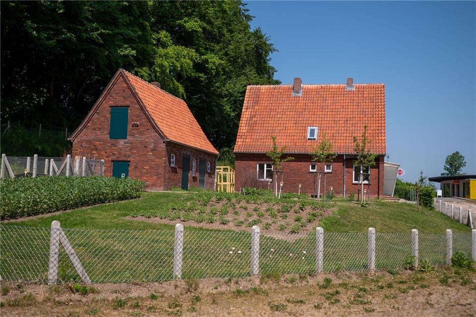 Nach dem Krieg bauten viele Menschen Obst und Gemüse an. (Archivbild)Philipp Schulze/dpa