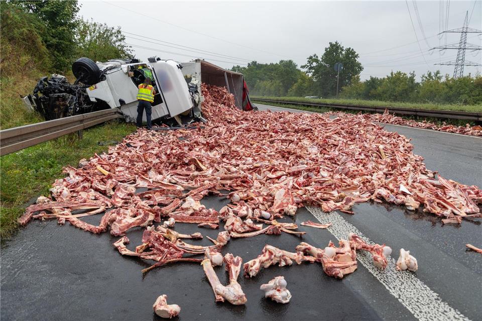 Umgekippter Lkw verteilt Fleischreste über Autobahn Nach dem Unfall bot sich ein unappetitliches Bild.S.Weber/Fuldamedia/dpa