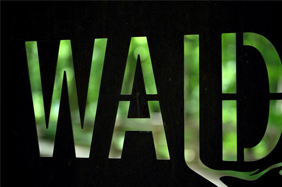 Nach dem Willen der CDU-Landtagsfraktion soll beim Errichten von Gebäuden der Mindestabstand zum Wald von 30 auf 10 Meter reduziert werden. (Symbolbild)Martin Schutt/dpa