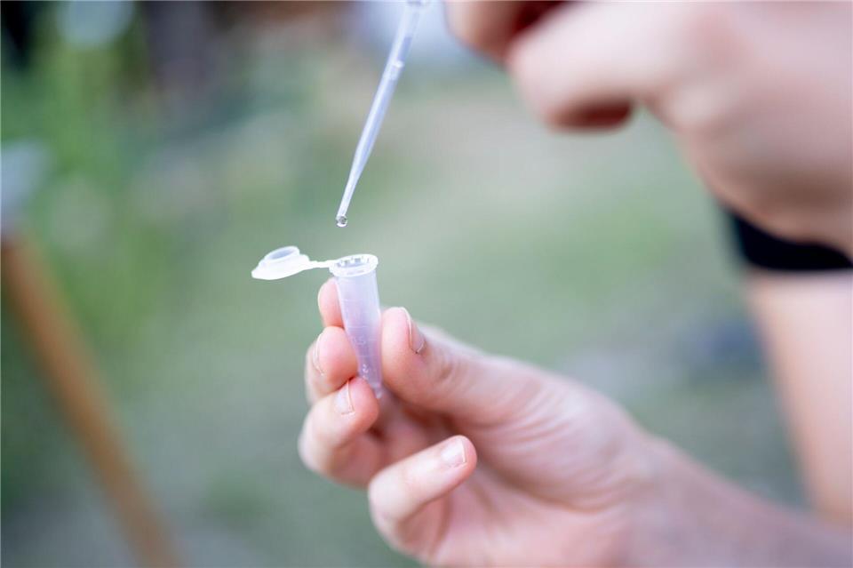 Nach dem Winter lohnt es sich, das Teichwasser sanft zu klären – oft reichen einfache Maßnahmen wie ein Teilwasserwechsel.Florian Schuh/dpa-tmn