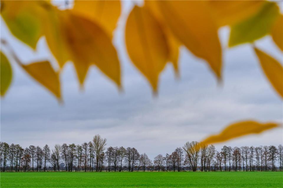 Nach dem Wintereinbruch werden die Temperaturen zum Wochenende hin wieder milder. (Archivfoto)Patrick Pleul/dpa
